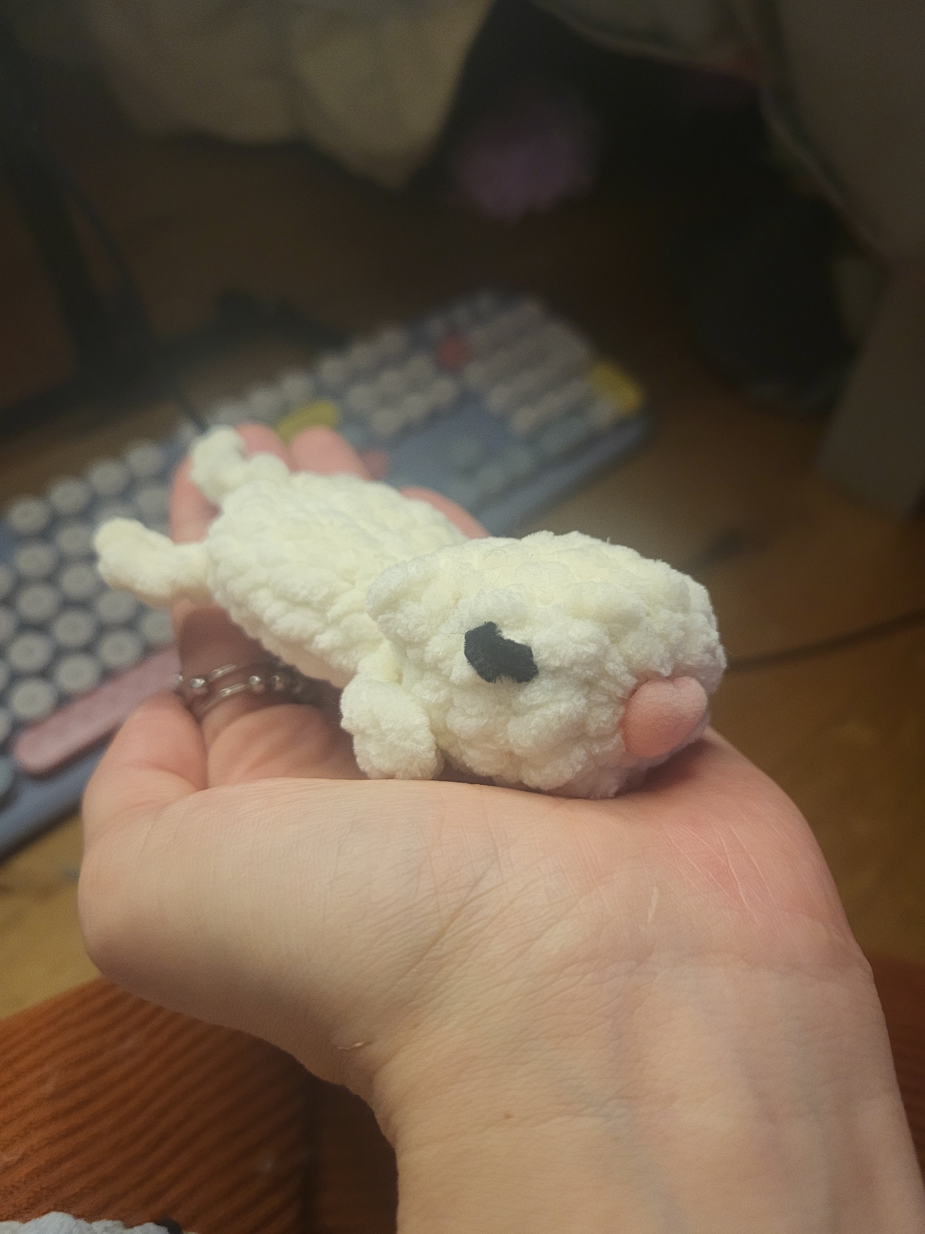 Newborn Kittens pocket fidget 🐱