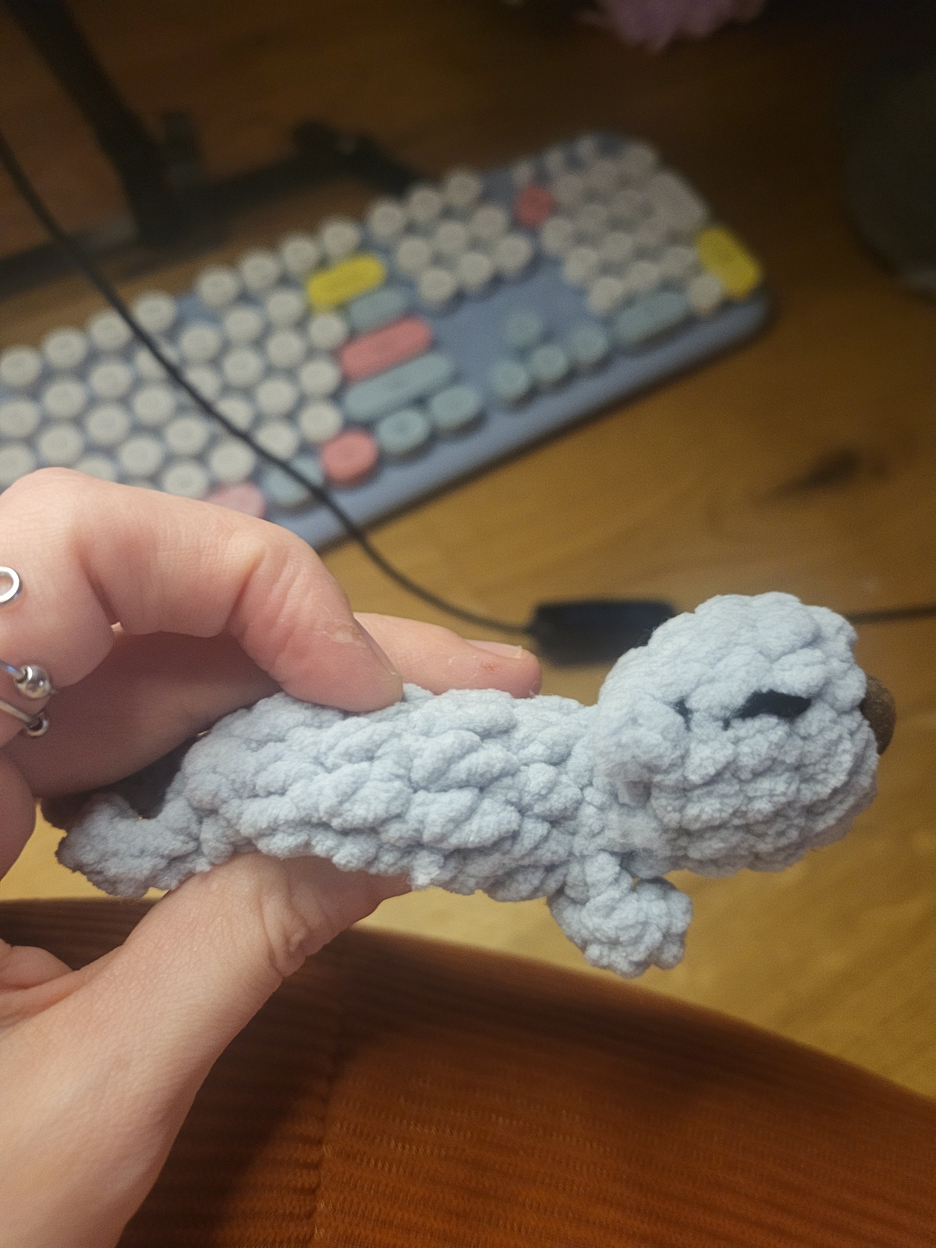 Newborn Kittens pocket fidget 🐱