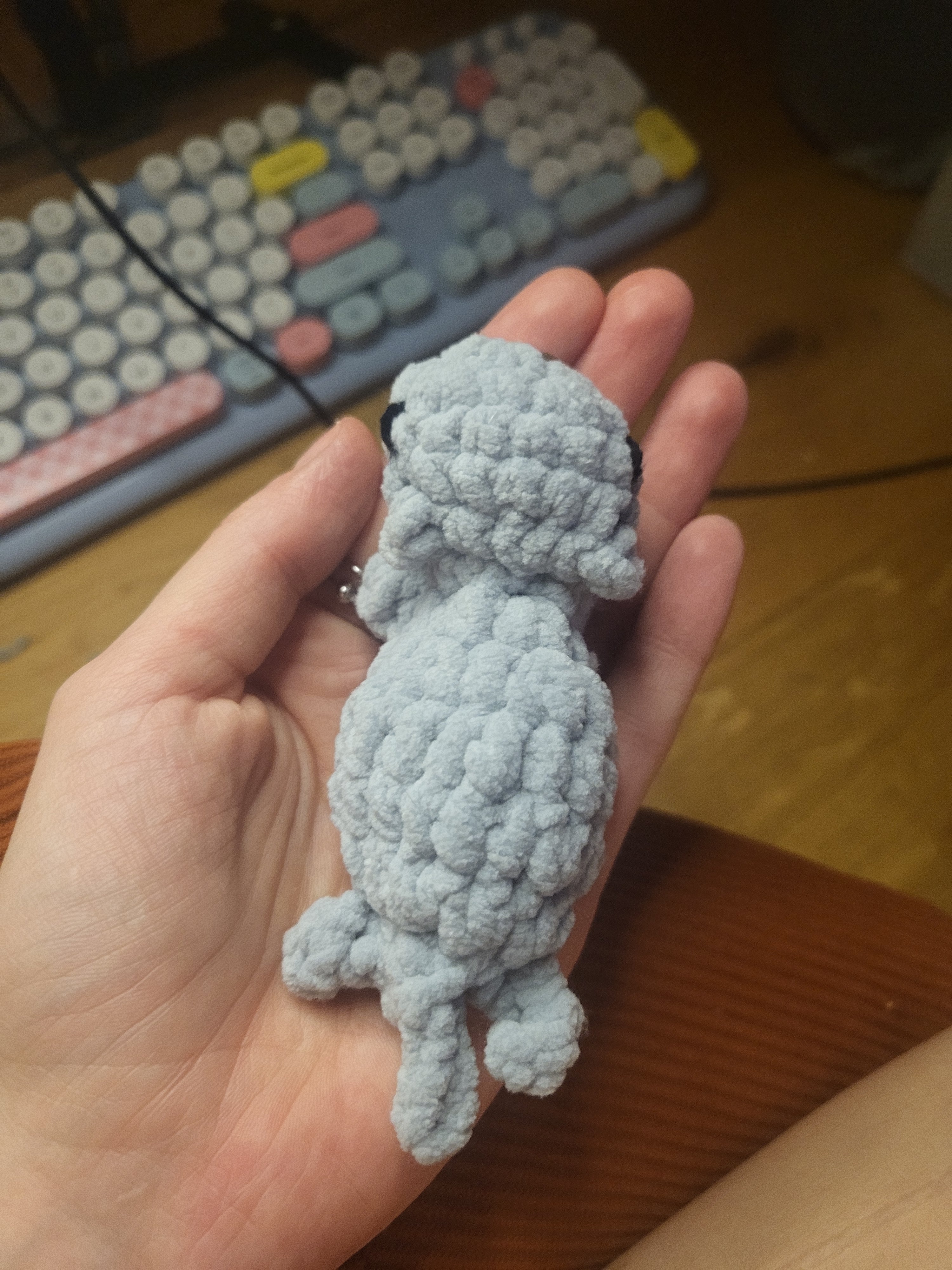 Newborn Kittens pocket fidget 🐱