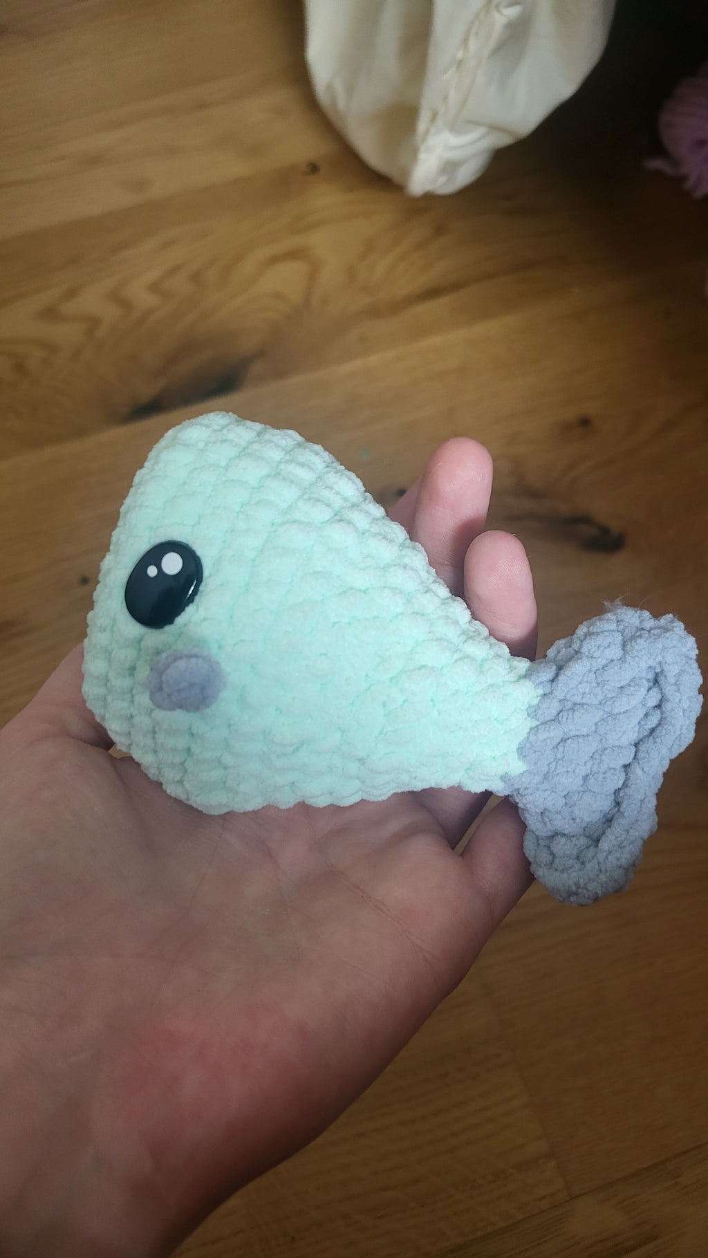 Finn et Flora les Poissons Voltigeurs 🐟