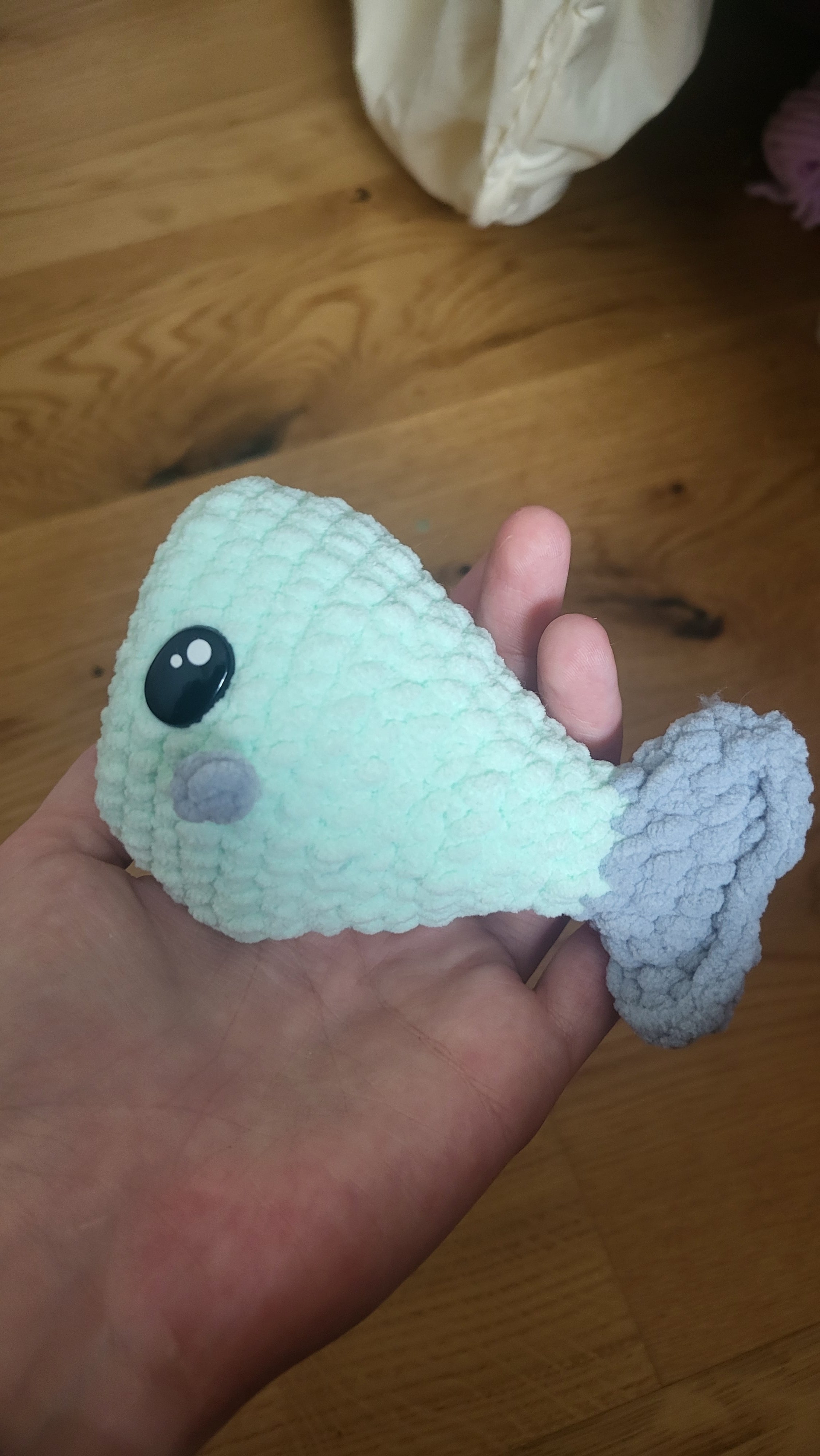 Finn et Flora les Poissons Voltigeurs 🐟