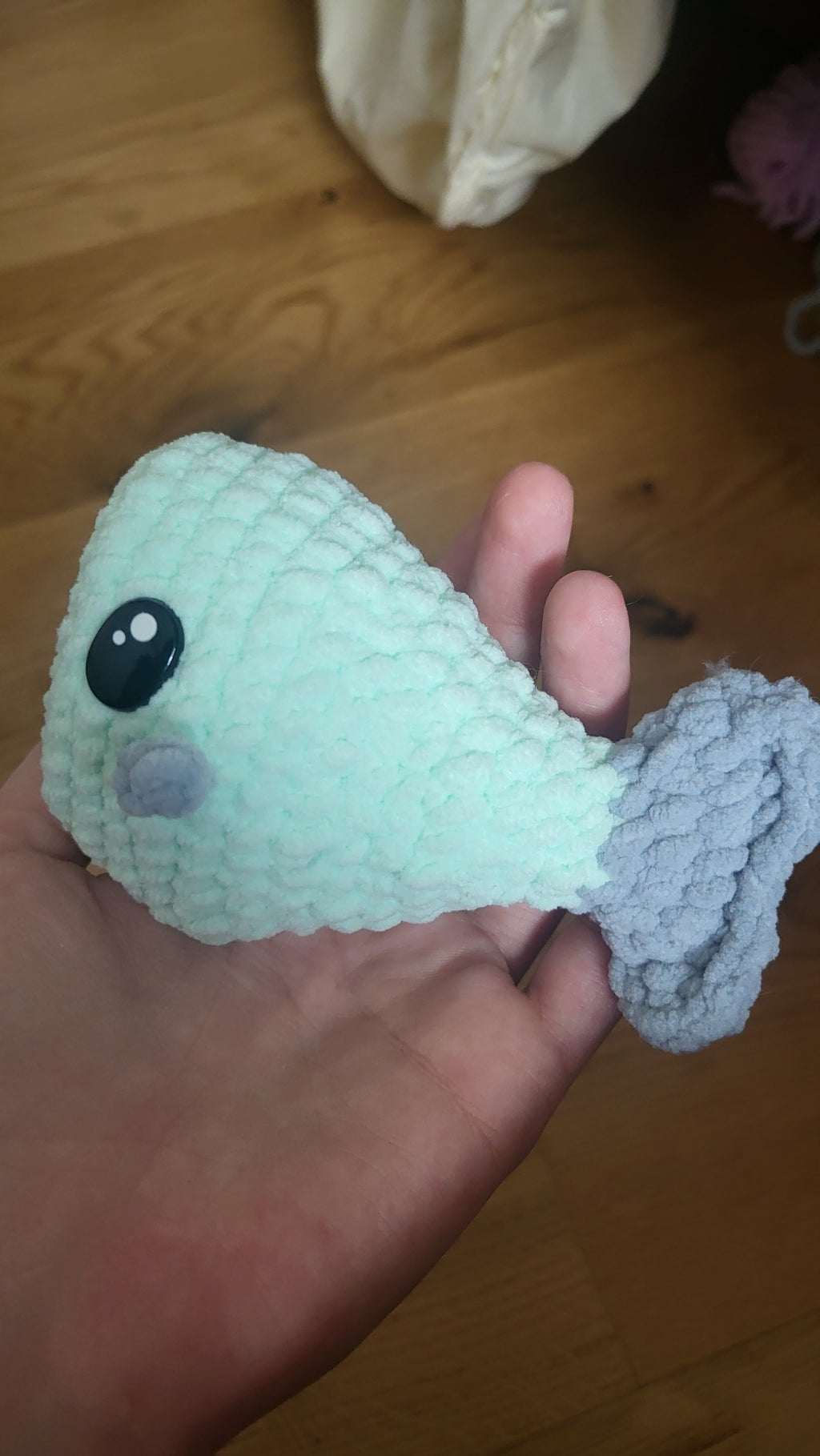 Finn et Flora les Poissons Voltigeurs 🐟